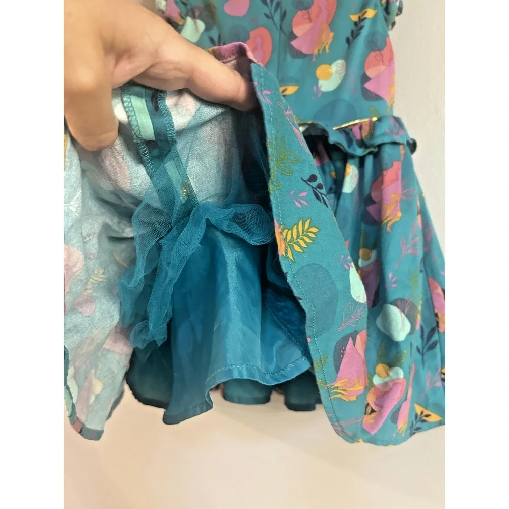 Disney Store Frozen Elsa and Anna Teal Pink Dress Girls Size 4 Ruffles Let It Go